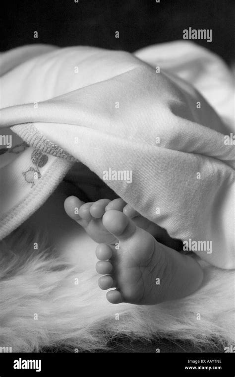 Sleeping New Born Baby Stock Photo Alamy