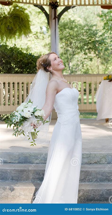 Happy Bride Stock Photo Image Of Brides Elegant Life 6810852