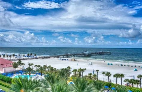 8 Delightful And Unique Things To Do In Clearwater Fl