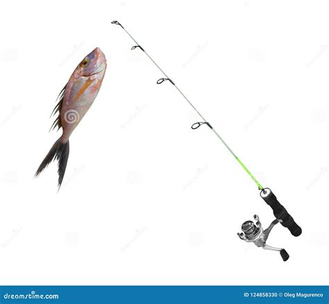 Fish On Fishing Rod Stock Photo Image Of Nature Hand 124858330