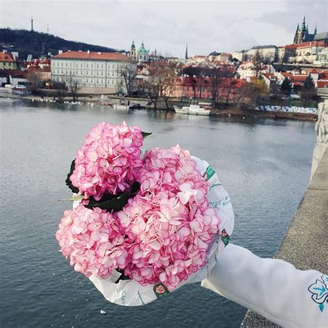 You can see how to get to flowers by burton on our website. Pink flowers | Instagram photo by @lucyvandean • 563 likes