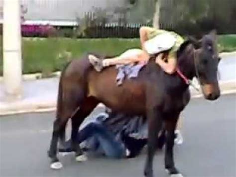 Cavalgada Em Pinhal Vontade De Andar A Cavalo Da Nisso Youtube