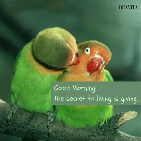 20 Beautiful Good Morning With Parrot Good Morning Wishes
