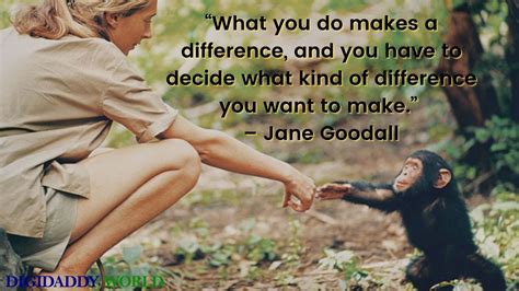 70 Jane Goodall Famous Quotes About Animals Life Hope Digidaddy World