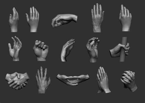 остаточний ручний набір 3d модель Stl 1 Hand Reference Anatomy