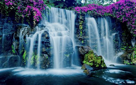 Waterfall In Hawaii