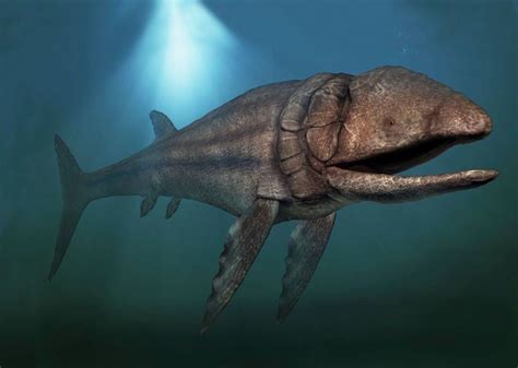 The problem is that, although leedsichthys is known from dozens of fossil remains from around the world and weights of over 50 tons. Leedsichthys - Alchetron, The Free Social Encyclopedia