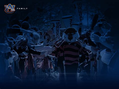 See more father's day tigers wallpaper, playful tigers wallpaper, clemson tigers wallpaper looking for the best tigers wallpaper? Auburn Tigers Football Wallpaper HD | PixelsTalk.Net