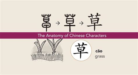 Learn Chinese Characters The Chinese Language Institute