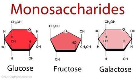 Some people try to induce ketosis with a low carb diet, . Monosaccharides (Simple Sugars) Definition, List, Examples