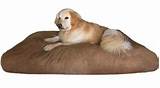 Images of Orthopedic Beds For Dogs