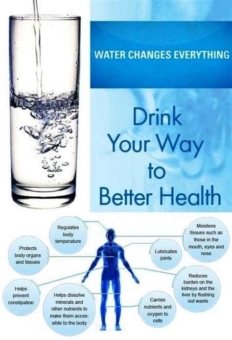 The Importance Of Hydration 4ever Fitness