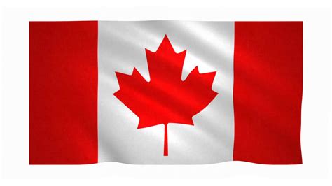 Flag Of Canada Waving On White Background Motion Background Storyblocks