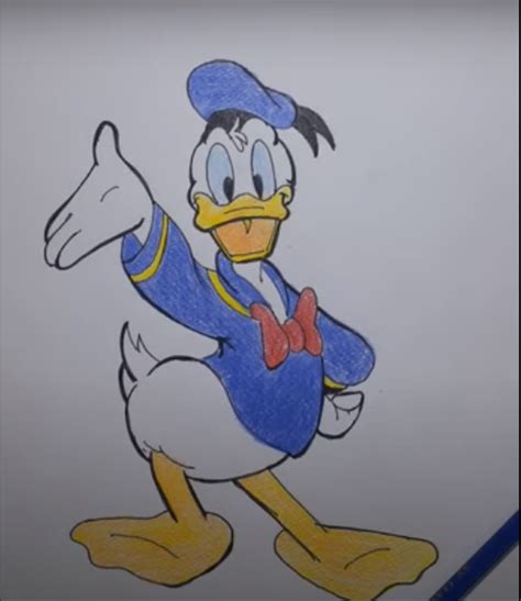 Learn How To Draw Donald Duck In Easiest Way You Can Easily Draw A