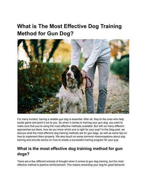 What Is The Most Effective Dog Training Method For Gun Dog By Rurisnow
