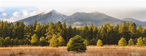 Flagstaff Az Local And Visitor Guide To The Best Of Flagstaff