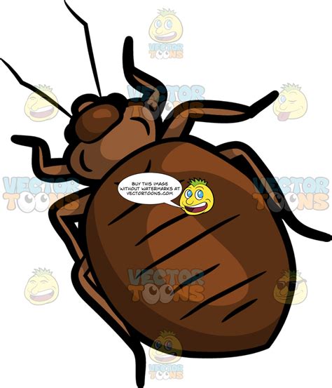 Bed Bug Clipart 20 Free Cliparts Download Images On Clipground 2024