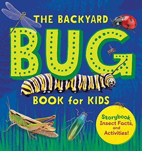 The Big Book Of Bugs The Big Book Series Zommer Yuval