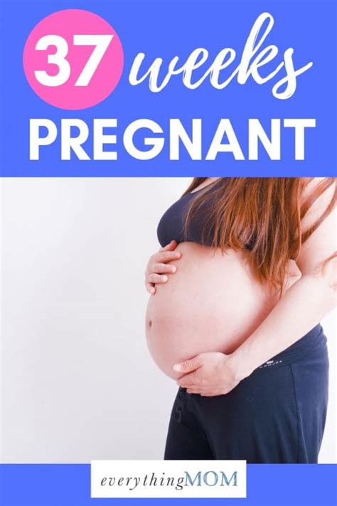 37 Weeks Pregnant Pregnancy Cleaning Everythingmom