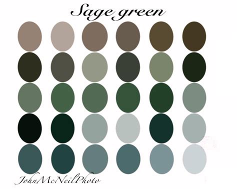 Sage Green Color Palette Swatch For Procreate Design Etsy In 2021