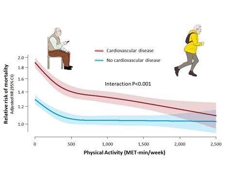 Cardiovascular Disease Patients Benefit More From Exercise Than Healthy
