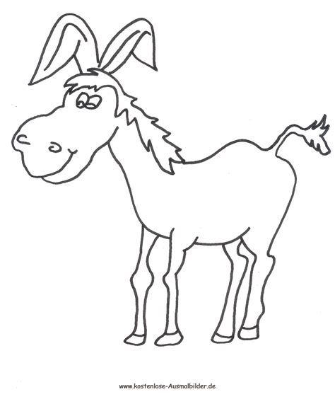Teppich türkis rund teppich rosa weiß soy luna ausmalbilder kostenlos ausdrucken. Ausmalbild Esel zum Ausdrucken