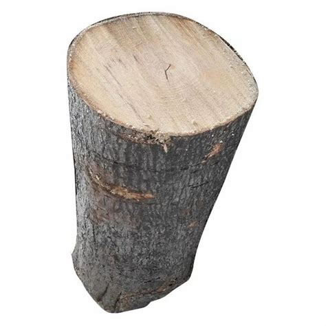 Brown Mango Wood Logs For Furniture Thickness 40mm At Rs 700cubic Feet In Bengaluru