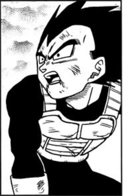The series is a sequel to the original dragon ball manga, with its overall plot outline written by creator akira toriyama. All the Vegeta panels in Dragon Ball Super Manga...
