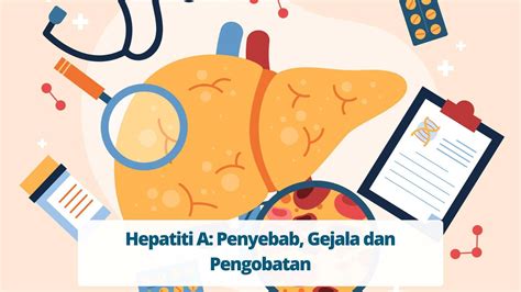 Infeksi Virus Hepatitis A Penyebab Gejala Dan Pengobatan
