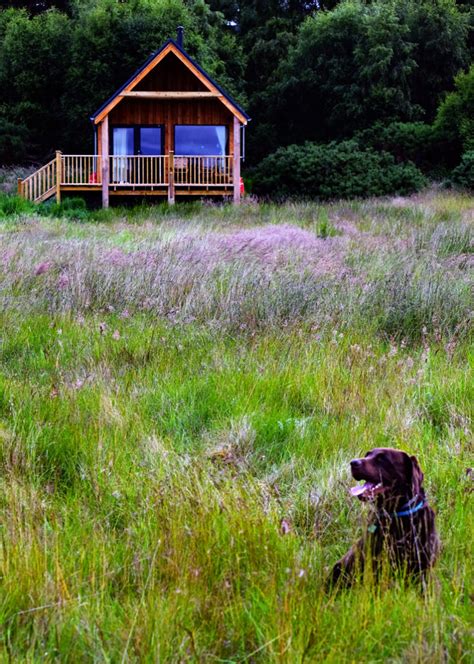 Dog Friendly Accommodation In Scotland Love From Scotland