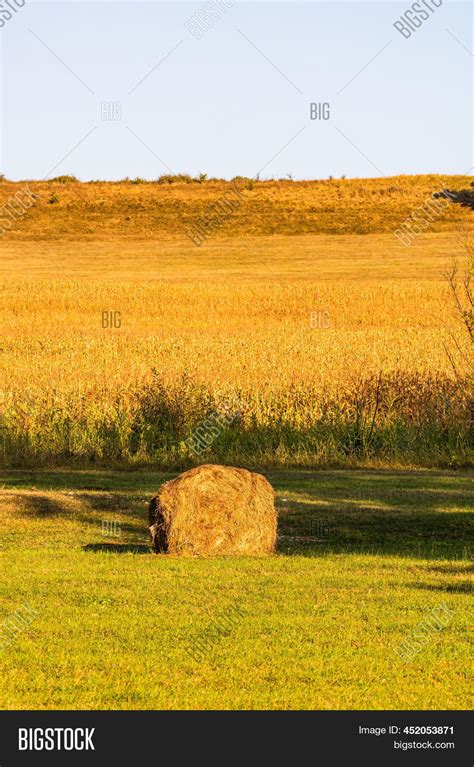 Golden Hay Bales Image And Photo Free Trial Bigstock