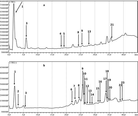 Lc Ms Chromatograms Of Aqueous A And Ethanolic B Cladode Extracts