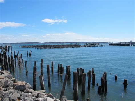 Report Chemistry Of Maines Casco Bay Changing Rapidly Maine Public