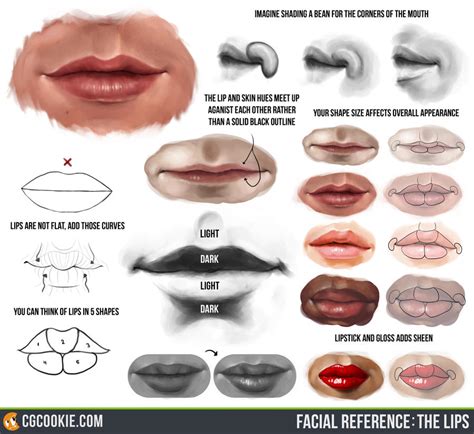 Facial Reference The Lips By Cgcookie On Deviantart