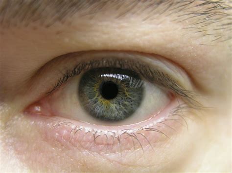 Originally, the phrase was simply an idiom referring to the pupil of the eye. Mr Gray Eyes | I guess my eyes are gunmetal gray. They ...