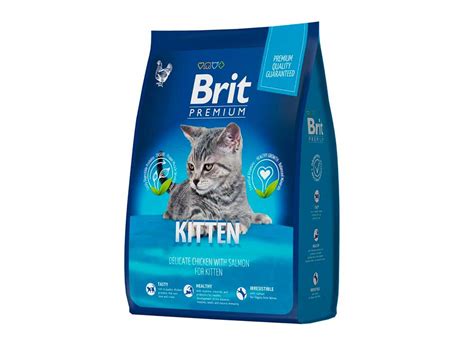 Brit Premium Cat Kitten купить в Бресте
