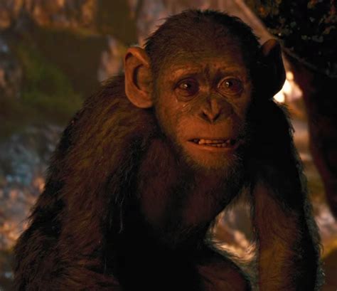 Cornelius Ce Planet Of The Apes Wiki Fandom