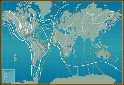 Map Of The World Showing Animal Migration Patterns Paul Mirocha