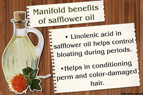 6 Marvelous Benefits Of Safflower Oil You Must To Know My Health Only