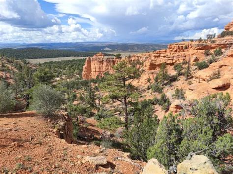 10 Best Hikes And Trails In Dixie National Forest Alltrails