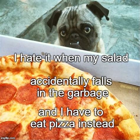 Pizza Pug Imgflip