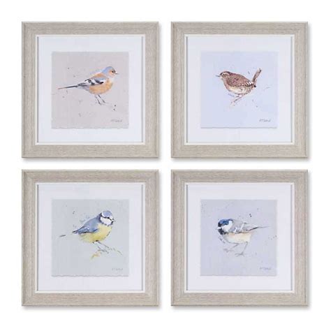 Perched Bird Framed Art Prints Set Of 4 Kirklands Bird Prints