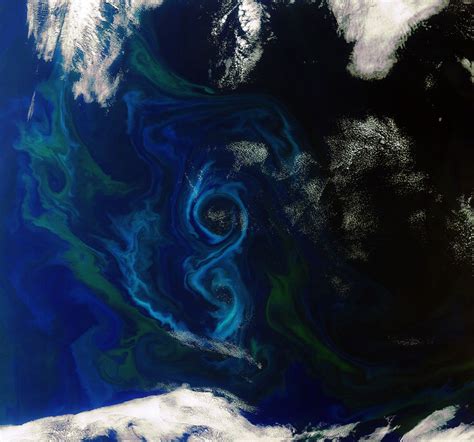 As Seen From Space Beautiful Swirling Phytoplankton Blooms Universe
