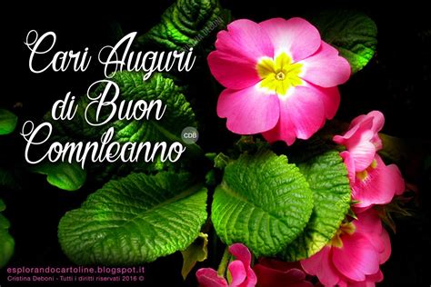 Fiori per augurare buon compleanno. CDB Cartoline per tutti i gusti: Cartolina Cari Auguri di BUON COMPLEANNO! Per Appassionati di ...