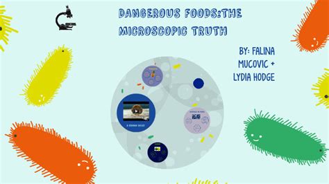 Eating Organismsthe Microscopic Truth By Falina M