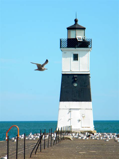 Lake Erie | Favorite places, Lighthouse, Lake erie