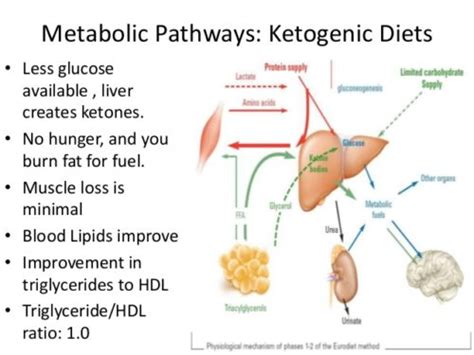Glucagon medication treats severe hypoglycemia in people with type 1 diabetes. KETO VS. CARB: Is the Keto Diet the Answer to Fat Loss ...