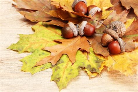 Brown Acorns On Autumn Leaves On Wooden Background — Stock Photo