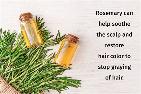 Herbs That Help Fight Hair Loss Emedihealth
