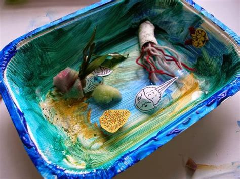 Cultivating your own mycorrhizae has the advantage of being significantly cheaper, better for the environment and way more fulfilling. Creeping Toad: Make your own ancient rockpool